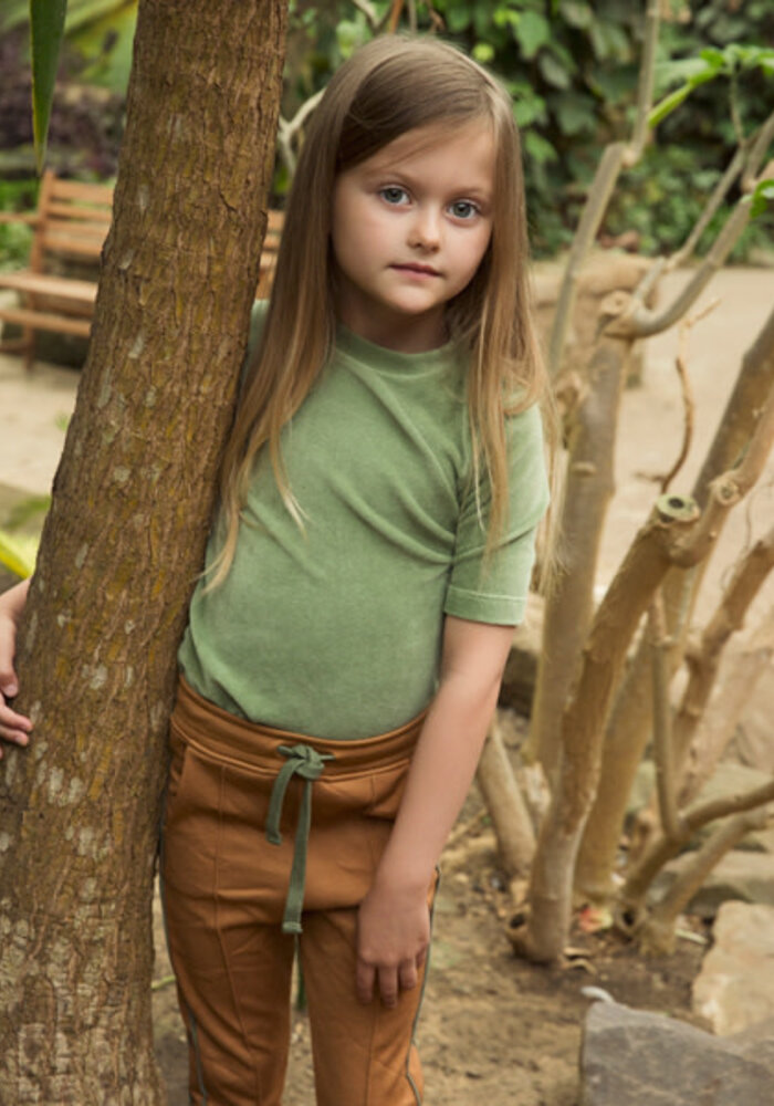 Ammehoela AM.Jax.05 Camel