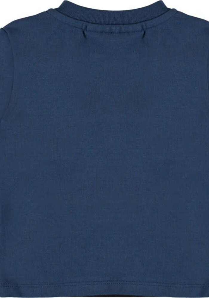 Molo Eloy Canine Cruise