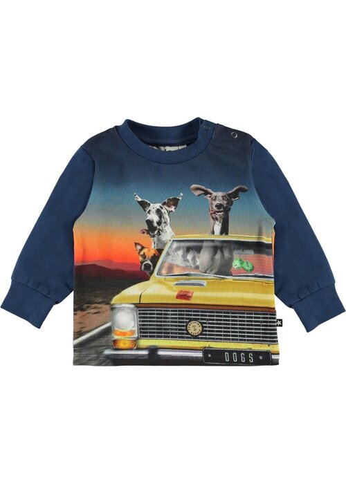 Molo Molo Eloy Canine Cruise