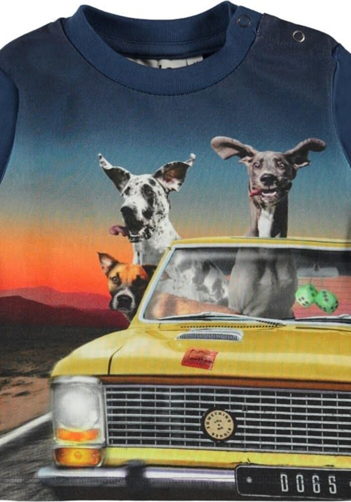 Molo Eloy Canine Cruise