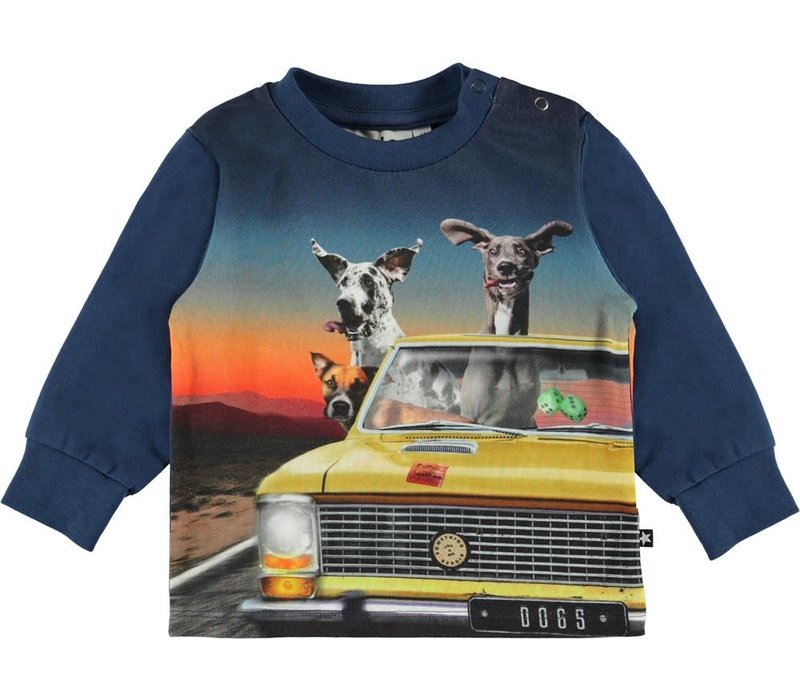 Molo Eloy Canine Cruise