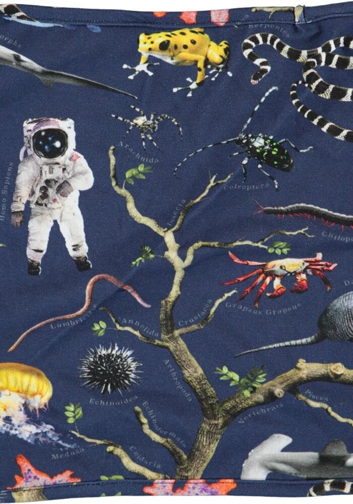 Molo Nishi Tree of Life