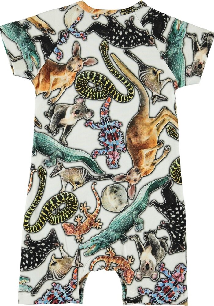 Molo Felton Australian Animals