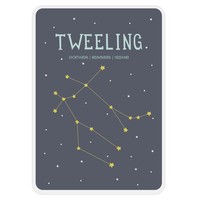 Milestone Zodiac Poster Card Tweeling