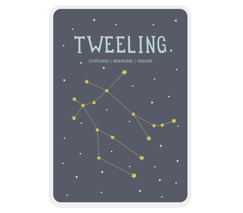 Milestone Zodiac Poster Card Tweeling