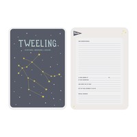 Milestone Zodiac Poster Card Tweeling