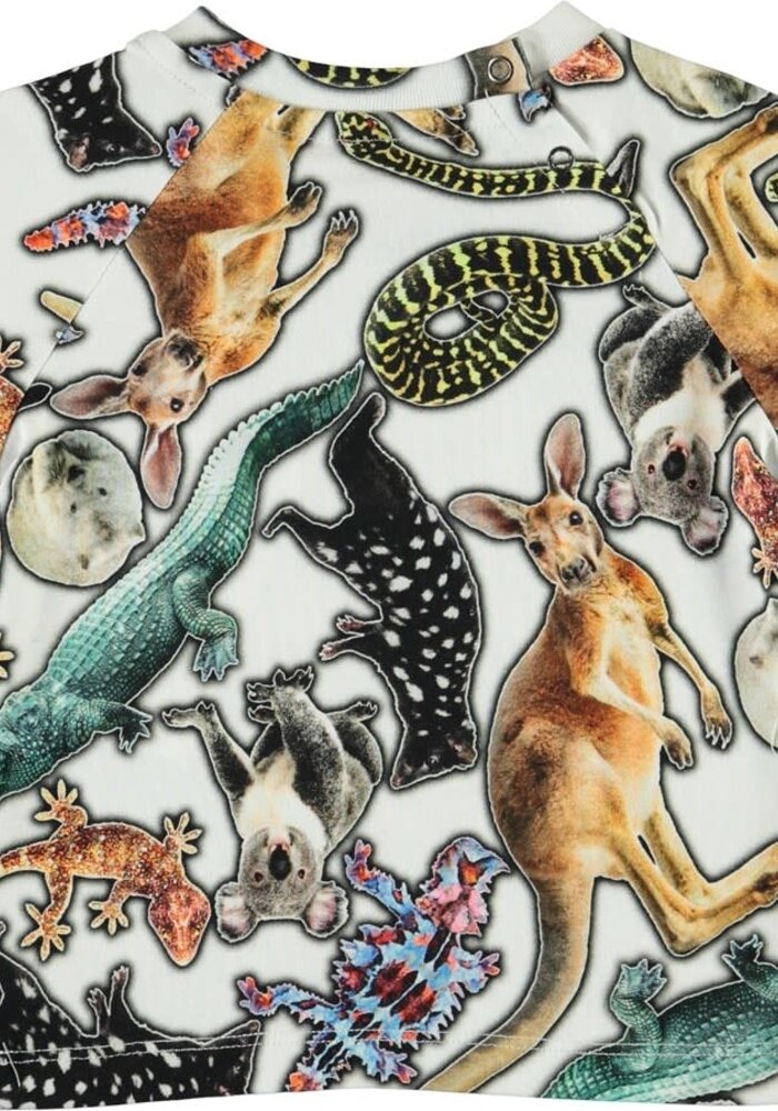 Molo Emmett Australian Animals