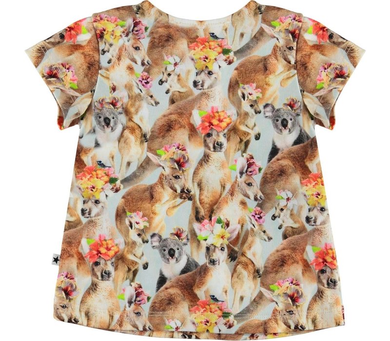 Molo Esmeralda Kindred Kangaroo