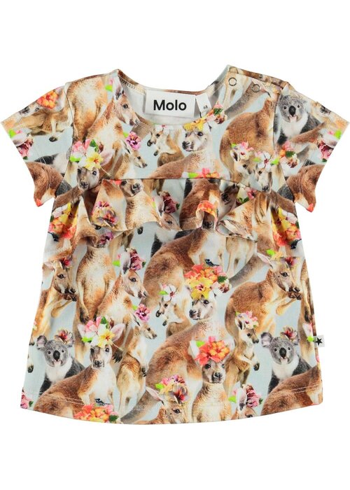 Molo Molo Esmeralda Kindred Kangaroo