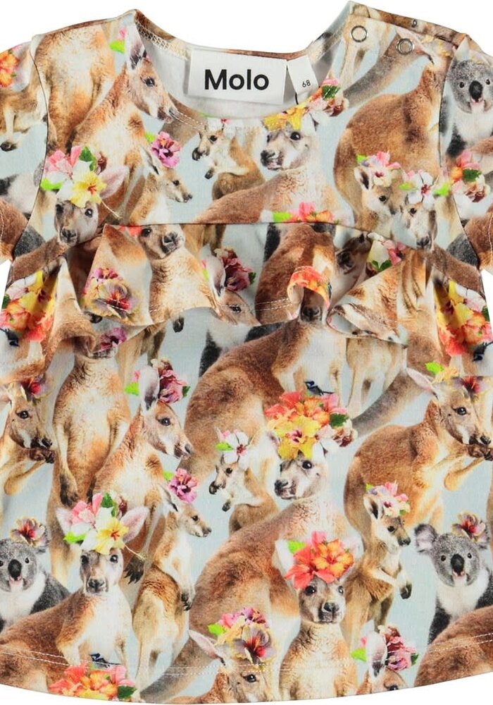 Molo Esmeralda Kindred Kangaroo