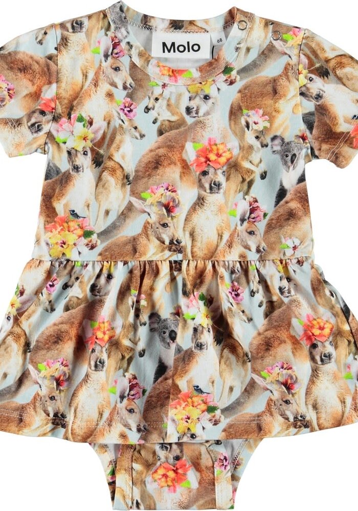 Molo Frannie Kindred Kangaroo