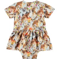 Molo Frannie Kindred Kangaroo