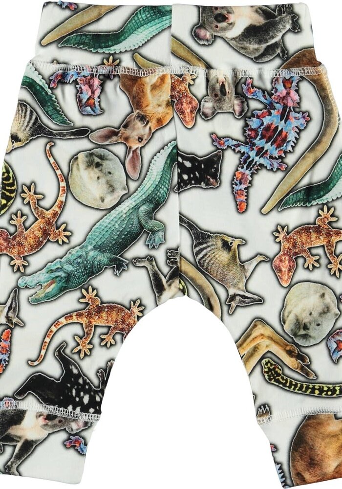 Molo Sammy Australian Animals