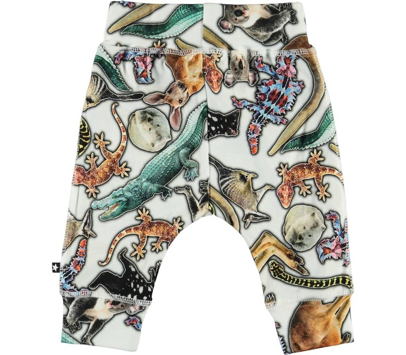 Molo Sammy Australian Animals