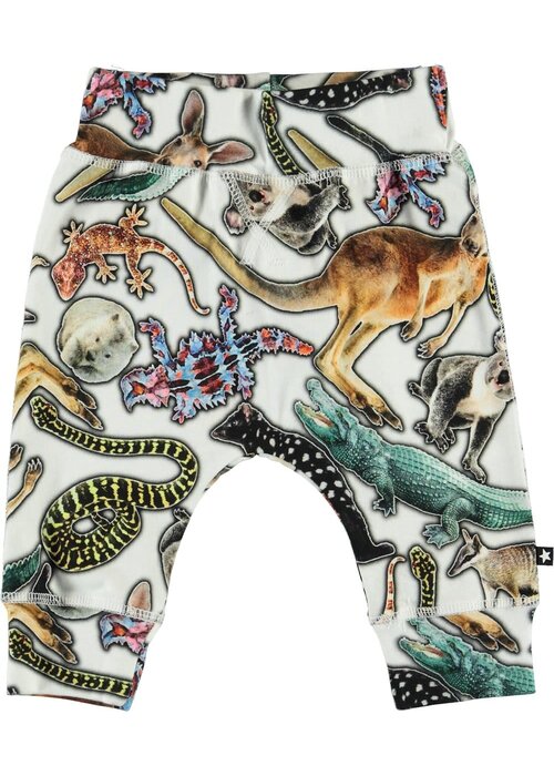 Molo Molo Sammy Australian Animals