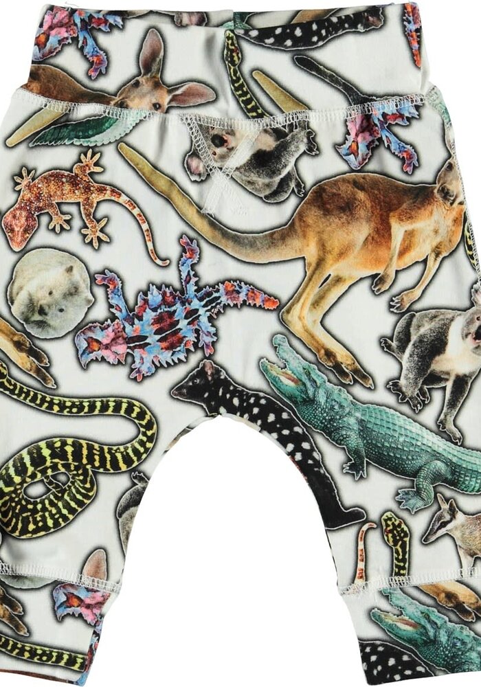 Molo Sammy Australian Animals