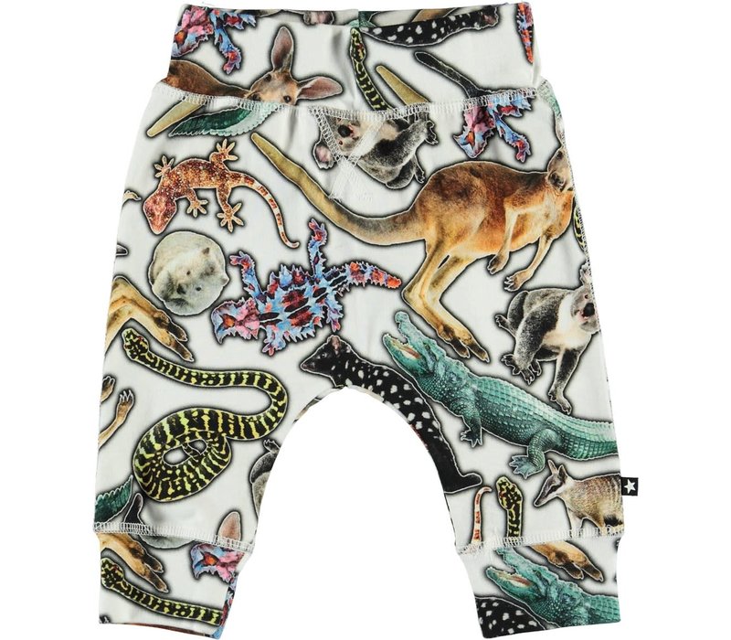 Molo Sammy Australian Animals