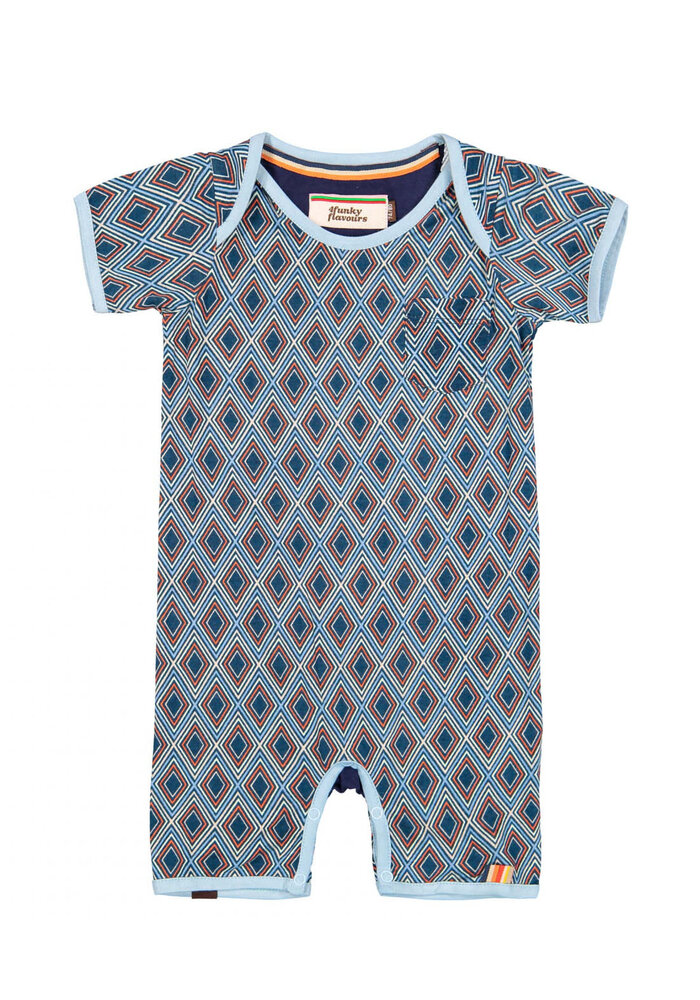 4Funky Flavours Sheez Music