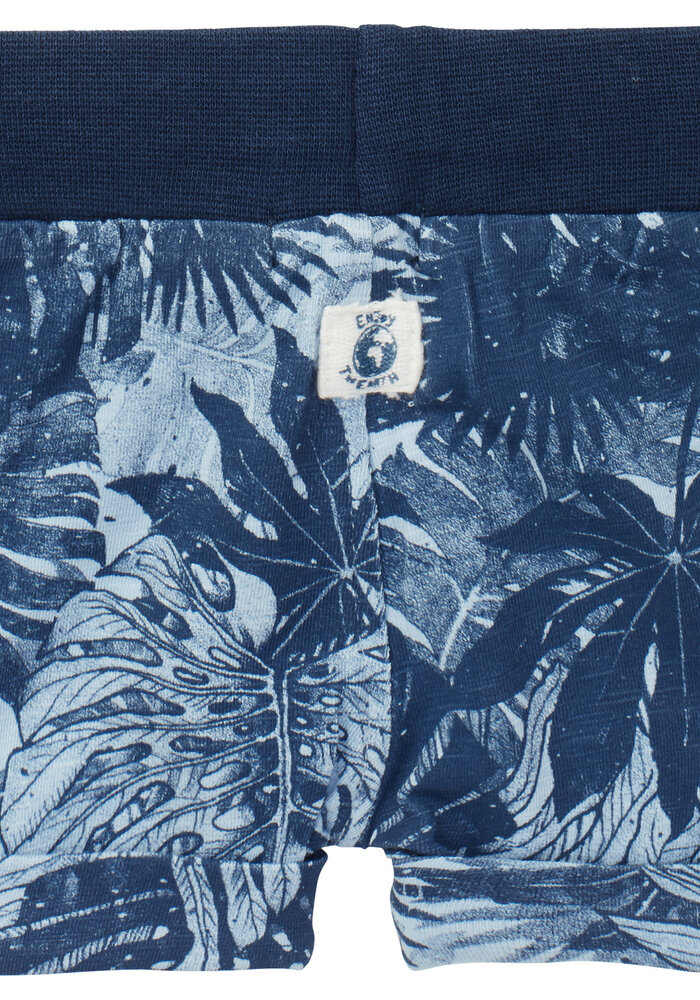 Noppies B Short non denim knit Thunder Powder Blue