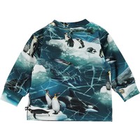 Molo Eloy Antarctica