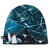 Molo Molo Ned Antarctica