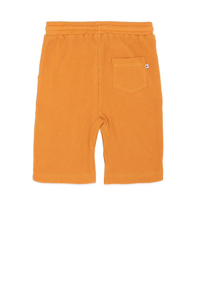 Ammehoela AM.Mase.04 Dessert-Sun