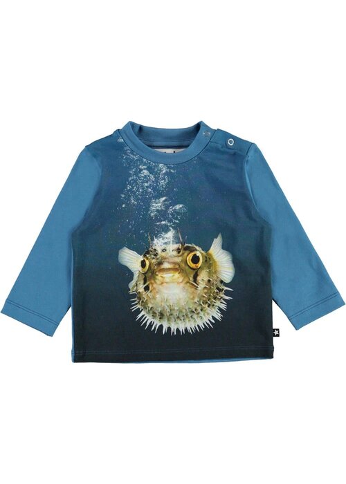 Molo Molo Enovan Pufferfish