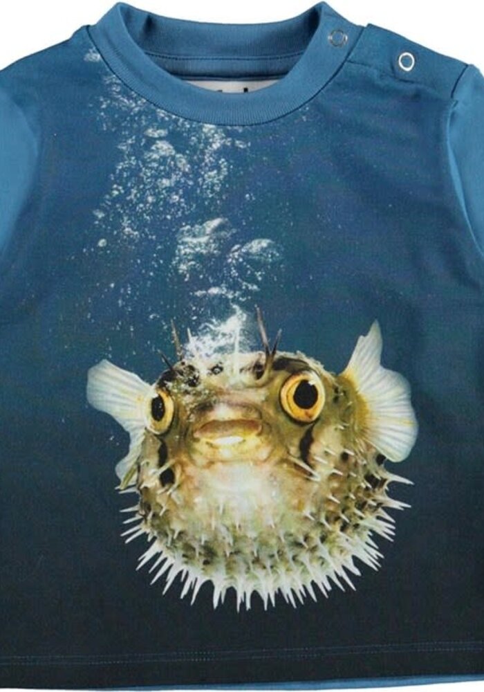 Molo Enovan Pufferfish