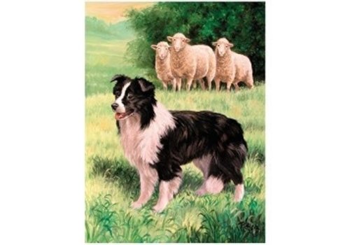 3D LiveLife picture - Border Collie & Sheep