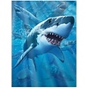 3D LiveLife picture - Great White Delight