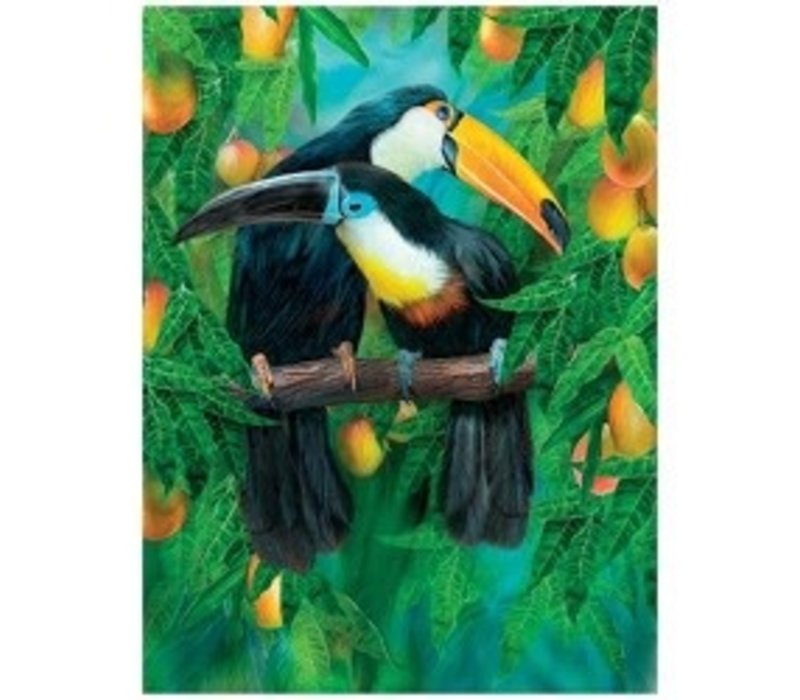 3D LiveLife picture - Tropic Spirits Toucans