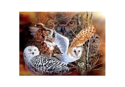 3D LiveLife picture - Owl Woods