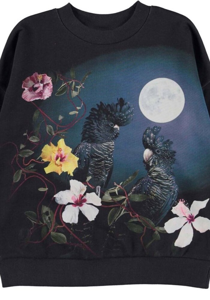 Molo Maxi Under The Moon