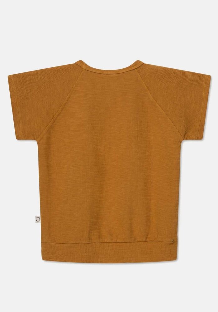 My Little Cozmo DECLANK168