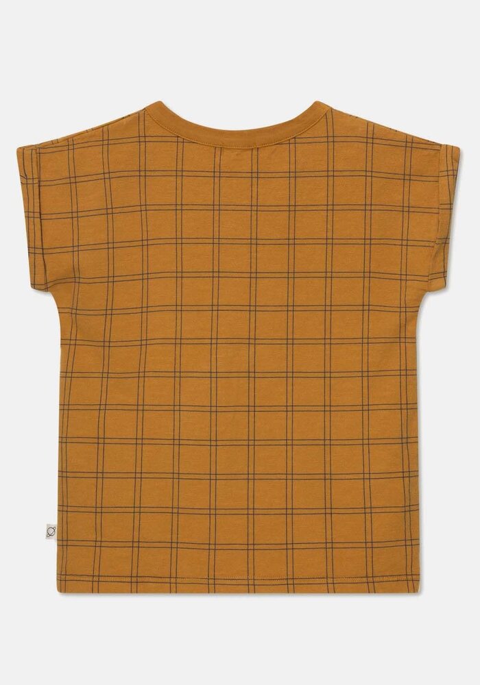 My Little Cozmo GILK117