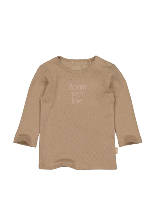 Levv Levv Ldaniel NBS22