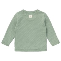 Noppies  Tee long sleeve Joshua Lily pad