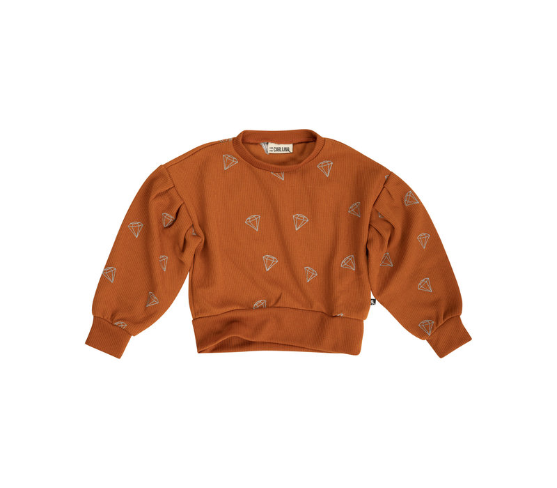 CarlijnQ Diamond - girls sweater