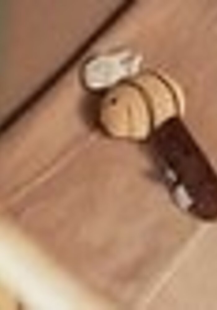 Jollein Rammelaar Spring garden Bee