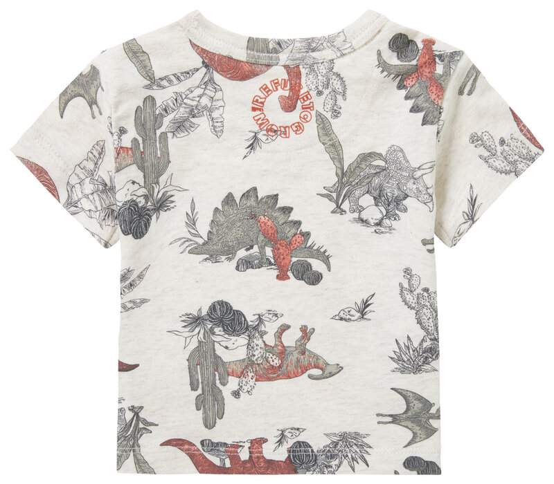 Noppies Boys Tee Mendota short sleeve all over print RAS1202 Oatmeal