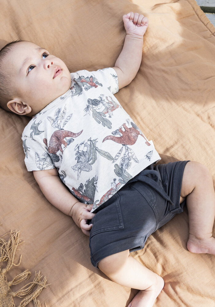 Noppies Boys Tee Mendota short sleeve all over print RAS1202 Oatmeal
