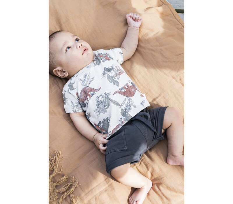 Noppies Boys Tee Mendota short sleeve all over print RAS1202 Oatmeal