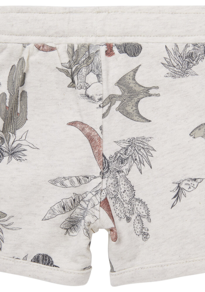 Noppies Boys Short Moville all over print RAS1202 Oatmeal