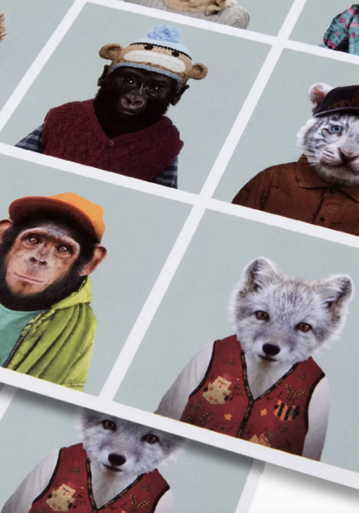 Poster Zoo portraits