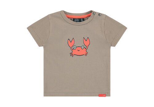 Babyface BABYFACE baby boys t-shirt short sleeve taupe