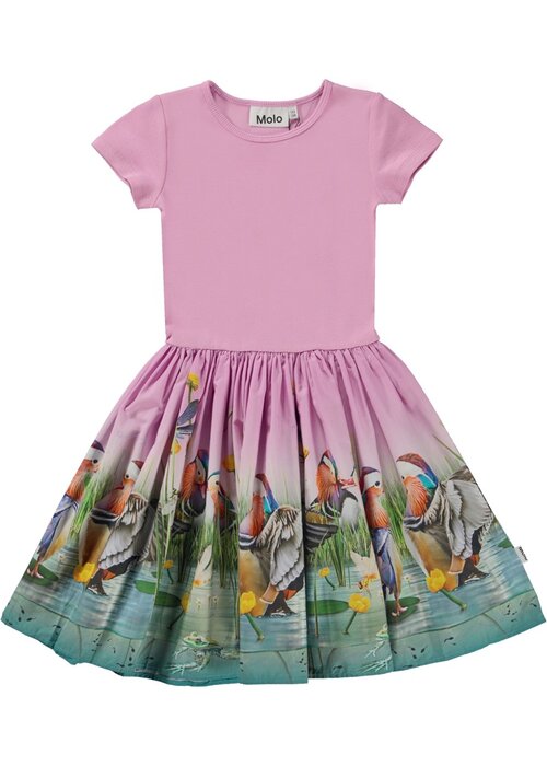 Molo Molo Cissa Dashing Ducks