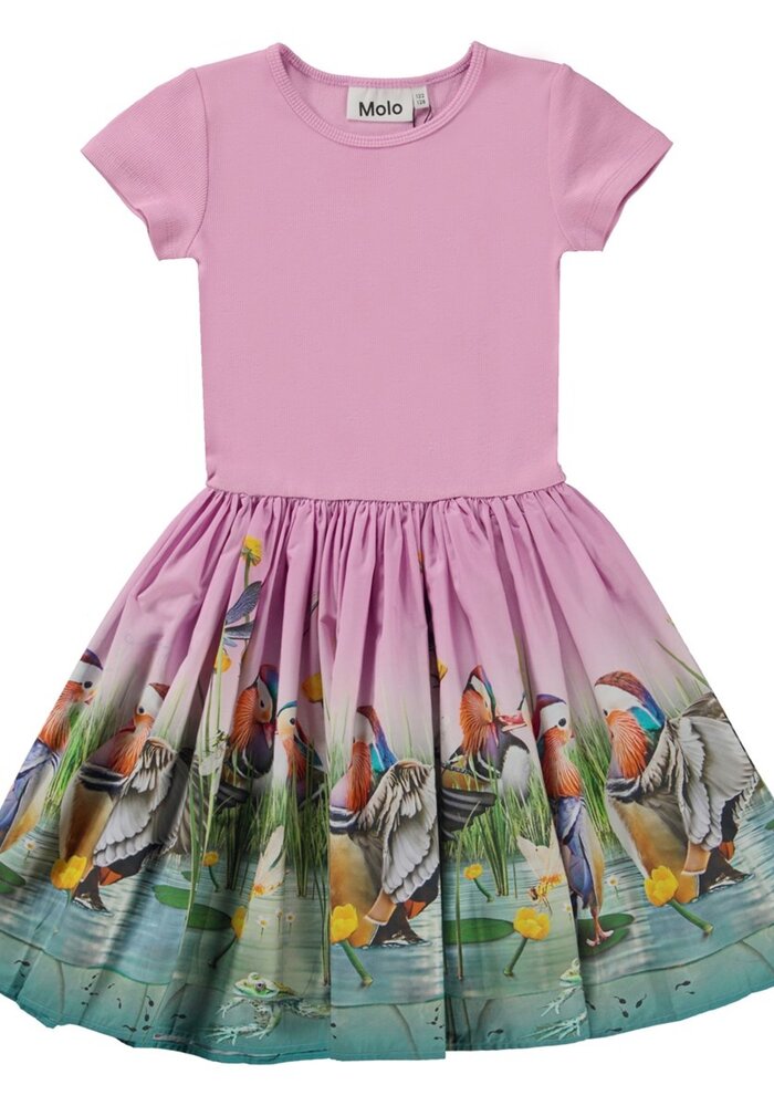 Molo Cissa Dashing Ducks