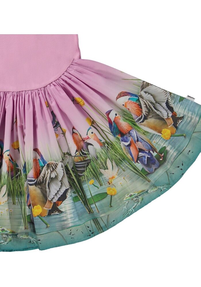 Molo Cissa Dashing Ducks