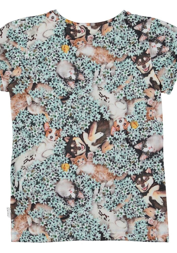 Molo Rimona Park Life