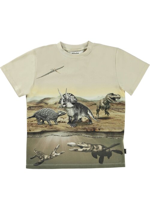 Molo Molo Roxo Desert Dinos